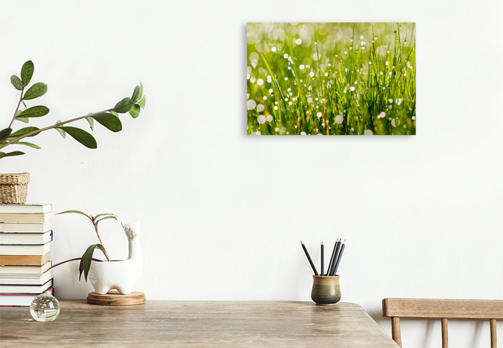 Premium textile canvas Premium textile canvas 120 cm x 80 cm landscape meadow with morning dew 