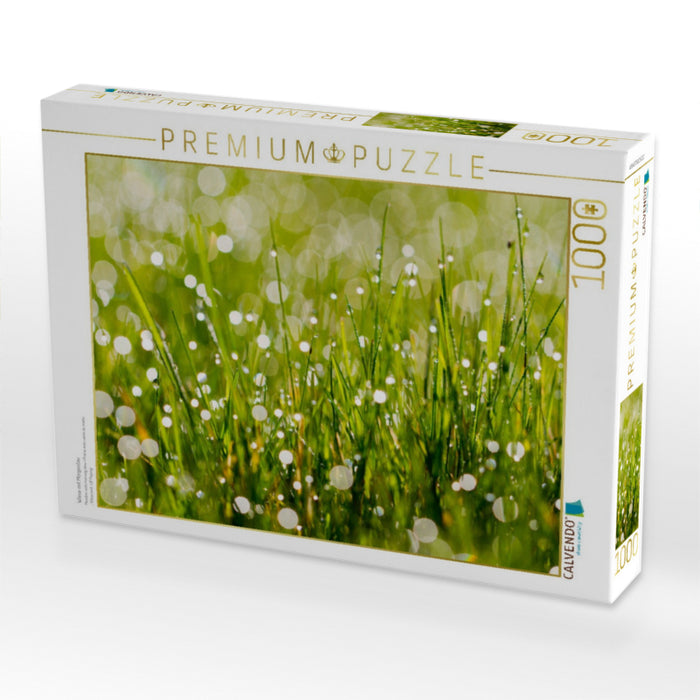 Wiese mit Morgentau - CALVENDO Foto-Puzzle'