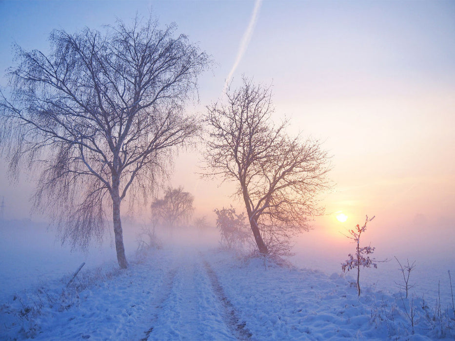 Winterlicher Sonnenuntergang im Nebel - CALVENDO Foto-Puzzle'