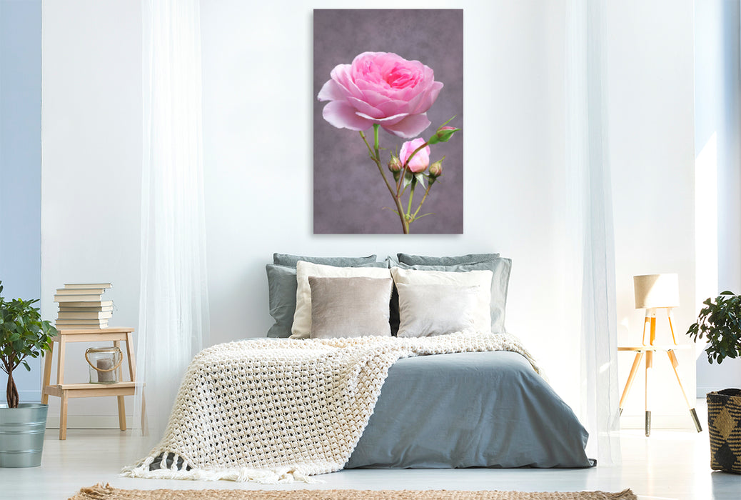 Premium Textil-Leinwand Premium Textil-Leinwand 80 cm x 120 cm  hoch Rose