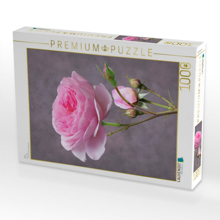 Rose - CALVENDO Foto-Puzzle'