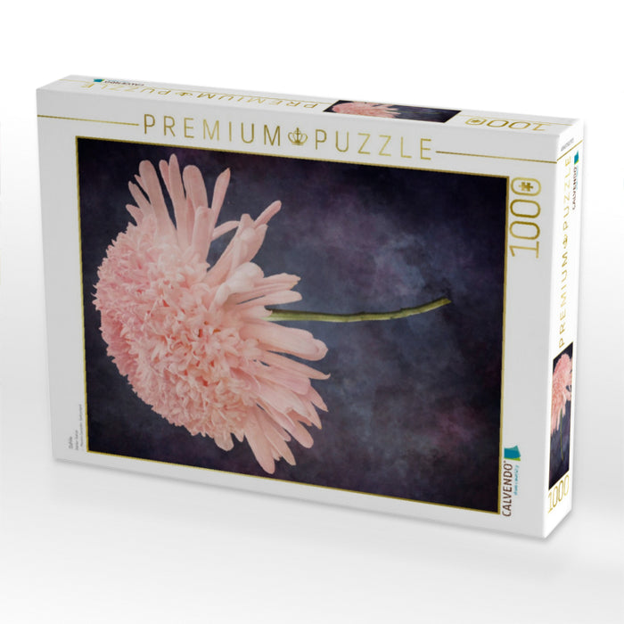 Dahlie - CALVENDO Foto-Puzzle'