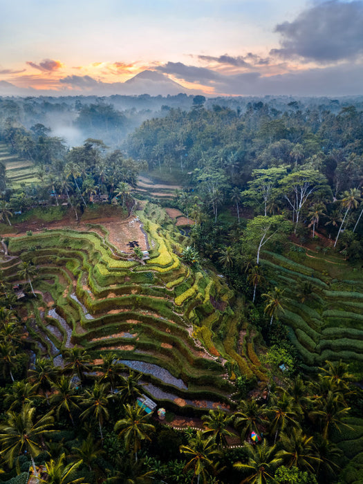 Ubud - Bali - CALVENDO Foto-Puzzle'