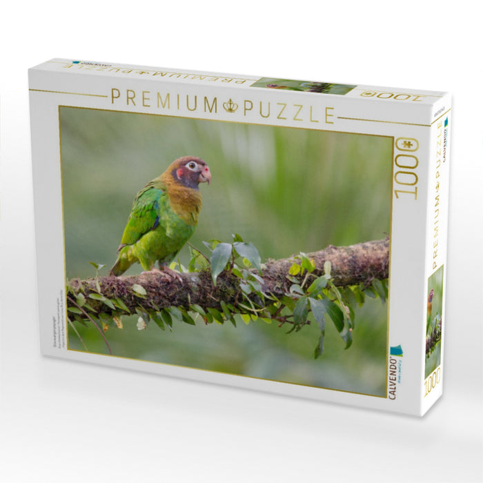 Grauwangenpapagei - CALVENDO Foto-Puzzle'