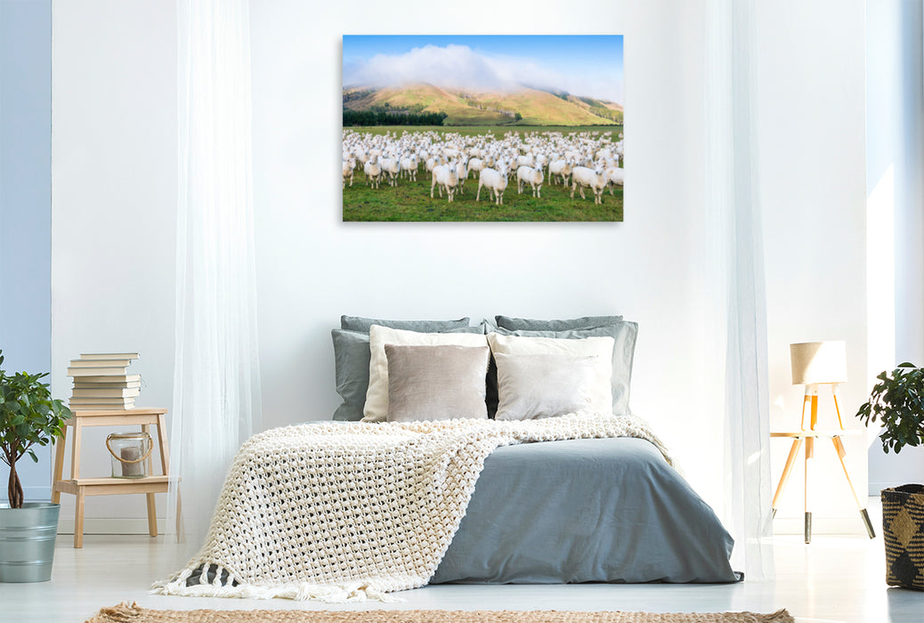 Premium textile canvas Premium textile canvas 120 cm x 80 cm landscape Flock of sheep, Canterbury 