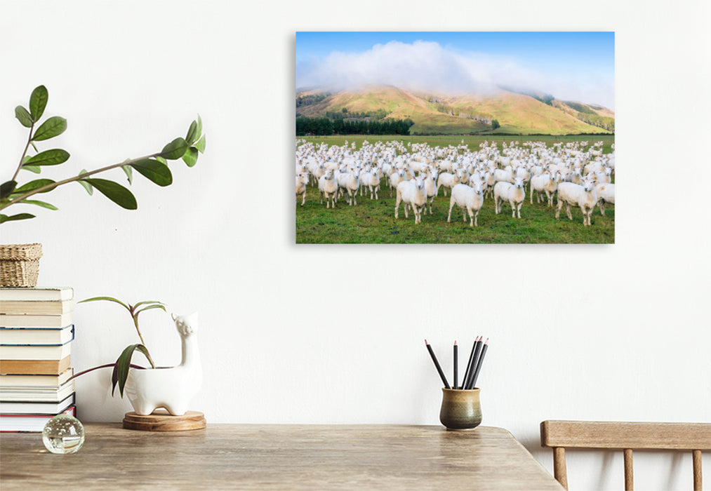 Premium textile canvas Premium textile canvas 120 cm x 80 cm landscape Flock of sheep, Canterbury 