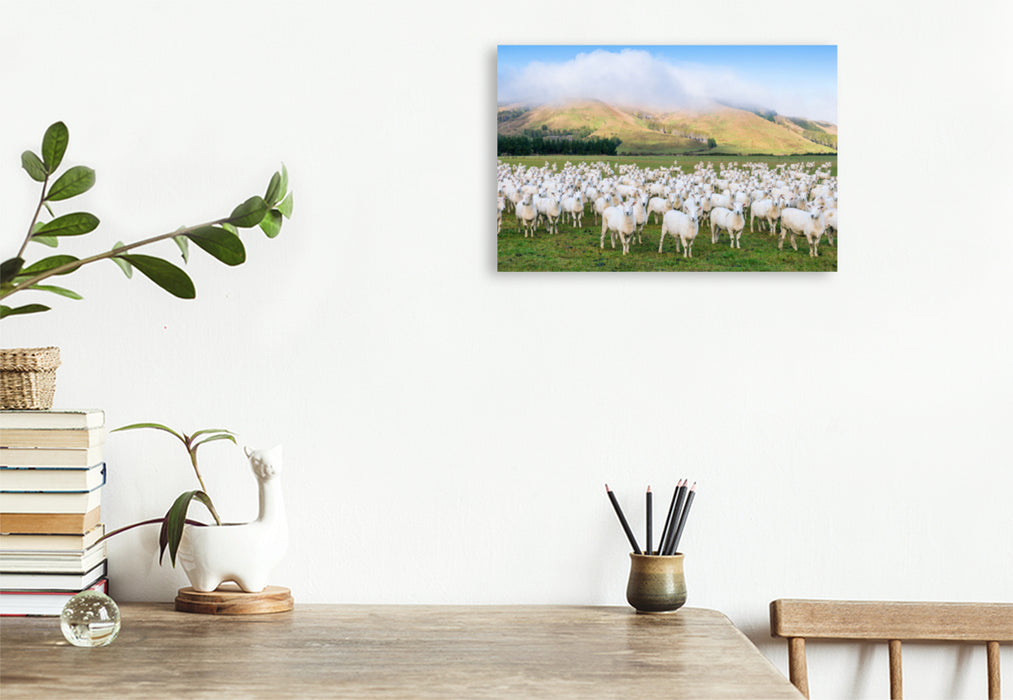 Premium textile canvas Premium textile canvas 120 cm x 80 cm landscape Flock of sheep, Canterbury 