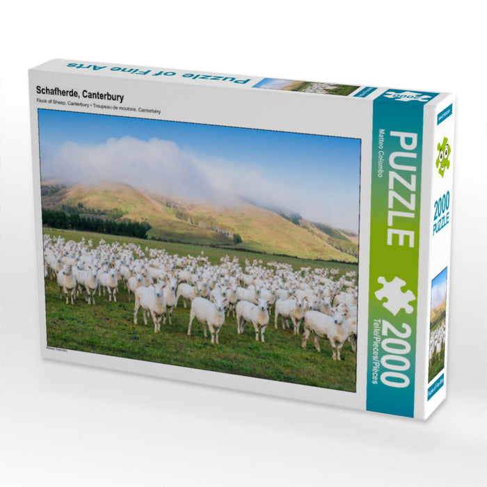 Troupeau de moutons, Canterbury - Puzzle photo CALVENDO 
