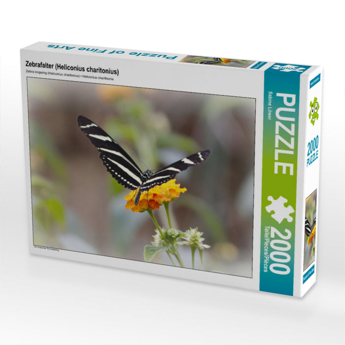 Zebrafalter (Heliconius charitonius) 2000 Teile Puzzle quer - CALVENDO Foto-Puzzle'