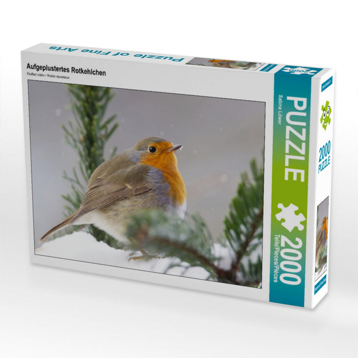 Aufgeplustertes Rotkehlchen 2000 Teile Puzzle quer - CALVENDO Foto-Puzzle'
