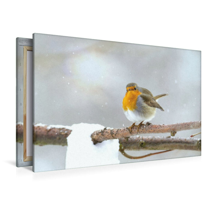 Premium Textil-Leinwand Rotkehlchen im Winter