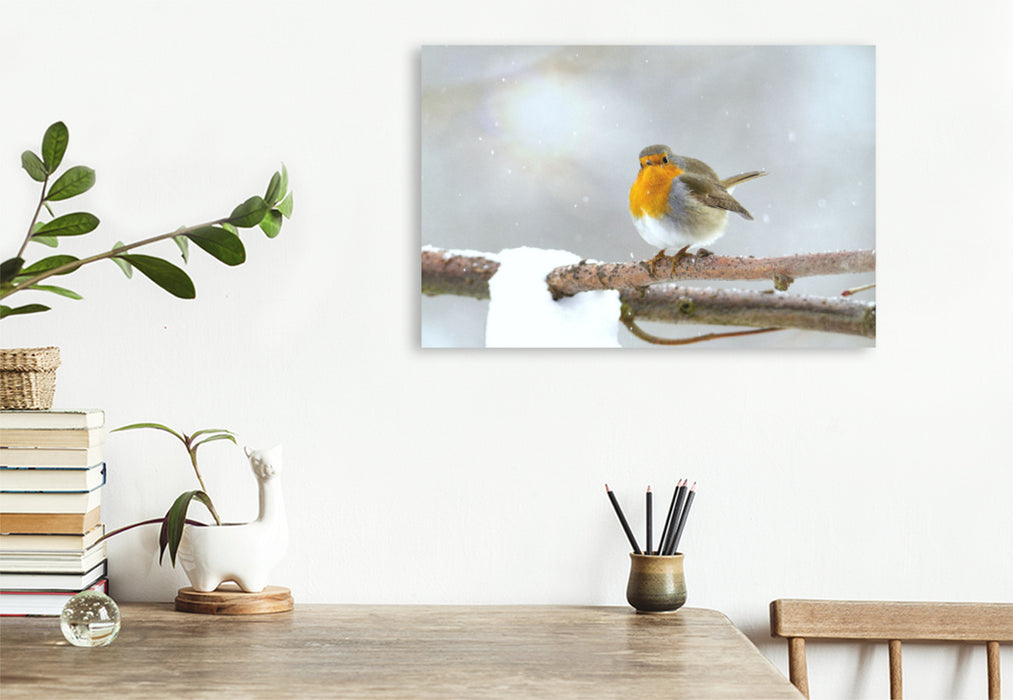 Premium textile canvas Premium textile canvas 120 cm x 80 cm landscape Robin in winter 