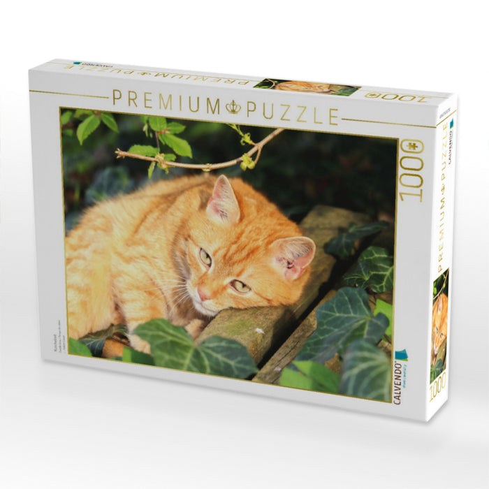 Kuschelzeit - CALVENDO Foto-Puzzle'