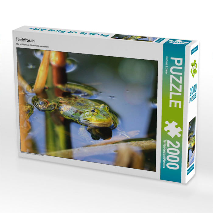 Pond frog - CALVENDO photo puzzle 