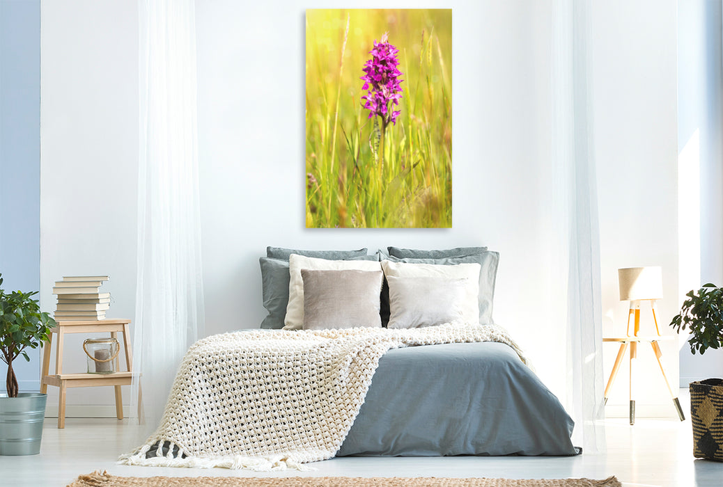 Premium textile canvas Premium textile canvas 80 cm x 120 cm high Broad-leaved orchid 