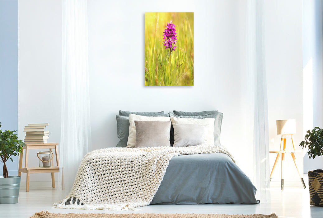 Premium textile canvas Premium textile canvas 80 cm x 120 cm high Broad-leaved orchid 