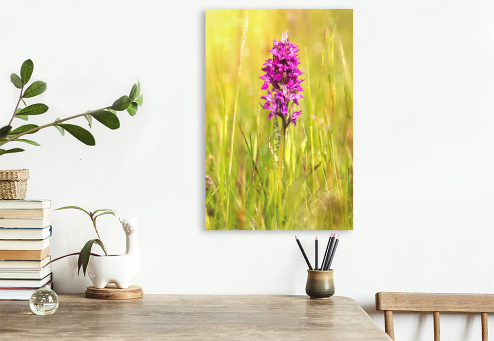 Premium textile canvas Premium textile canvas 80 cm x 120 cm high Broad-leaved orchid 