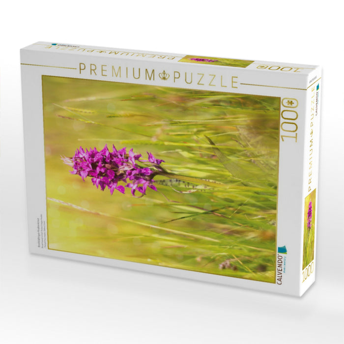 Breitblättriges Knabenkraut - CALVENDO Foto-Puzzle'