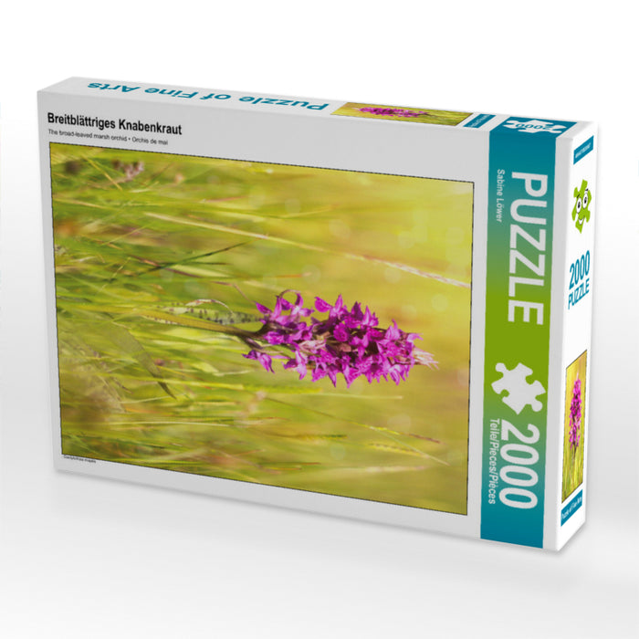 Breitblättriges Knabenkraut 2000 Teile Puzzle hoch - CALVENDO Foto-Puzzle'
