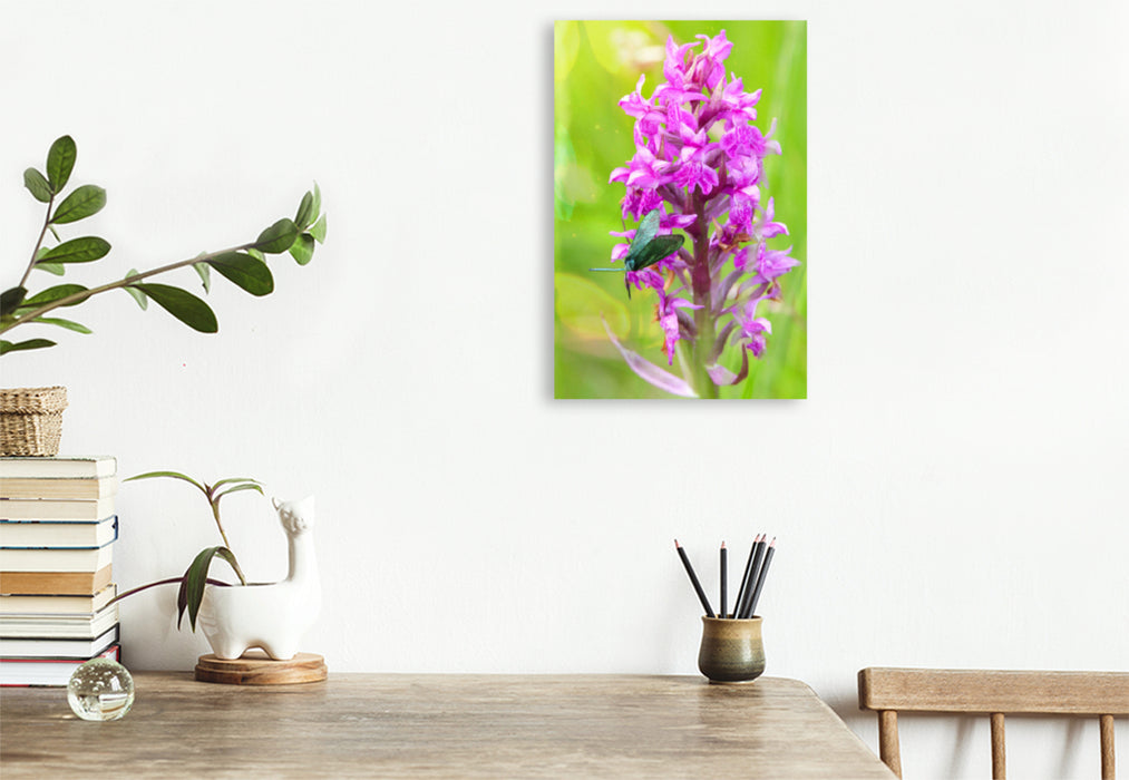 Premium textile canvas Premium textile canvas 80 cm x 120 cm high Male Orchid 