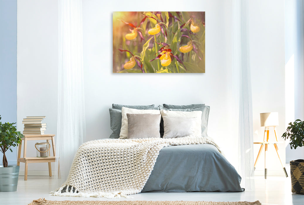 Premium textile canvas Premium textile canvas 120 cm x 80 cm landscape A motif from the calendar Yellow Lady's Slipper 