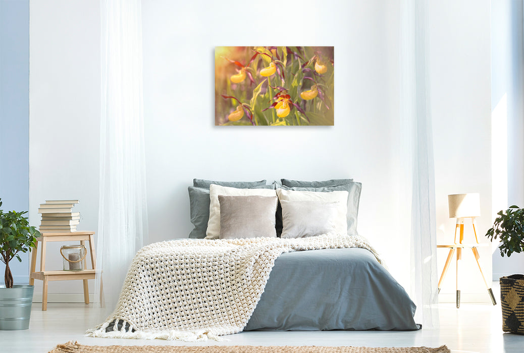 Premium textile canvas Premium textile canvas 120 cm x 80 cm landscape A motif from the calendar Yellow Lady's Slipper 