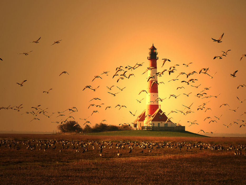 Leuchtturm Westerhever - CALVENDO Foto-Puzzle'