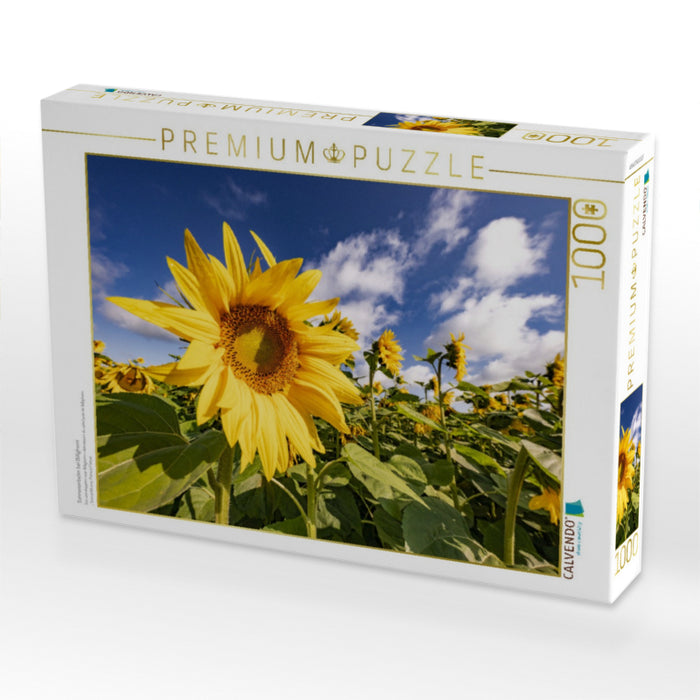 Sonnenanbeter bei Billigheim - CALVENDO Foto-Puzzle'