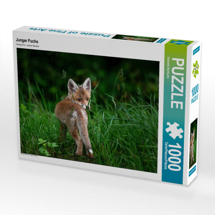 Junger Fuchs 1000 Teile Puzzle quer - CALVENDO Foto-Puzzle'