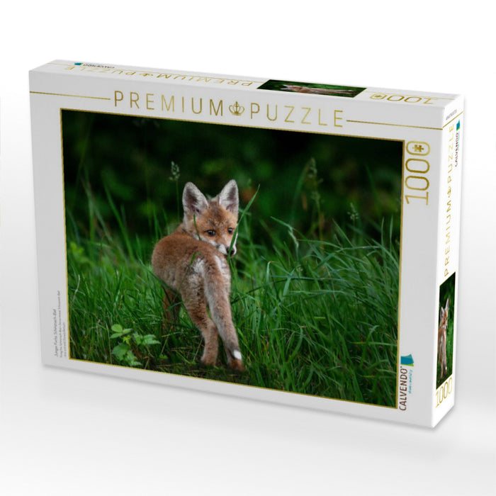 Junger Fuchs, Schinznach-Bad - CALVENDO Foto-Puzzle'