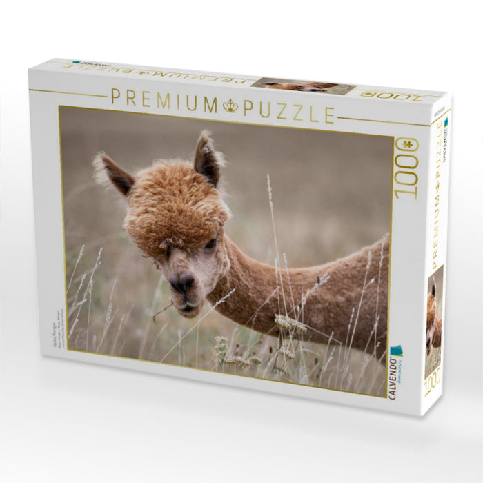 Alpaka, Remigen - CALVENDO Foto-Puzzle'