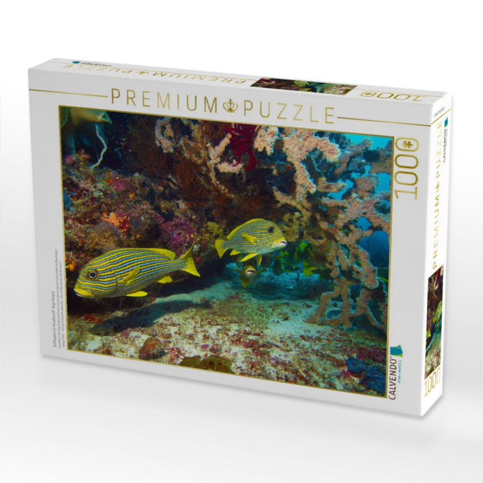 Süßlippen im Korallenriff Raja Ampat - CALVENDO Foto-Puzzle'