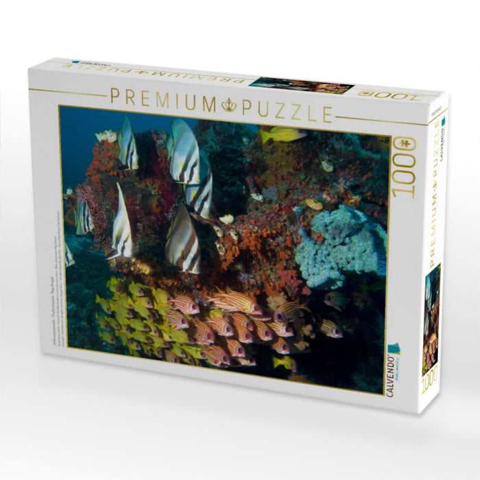Unterwasserwelt - Fischschwarm Raja Ampat - CALVENDO Foto-Puzzle'