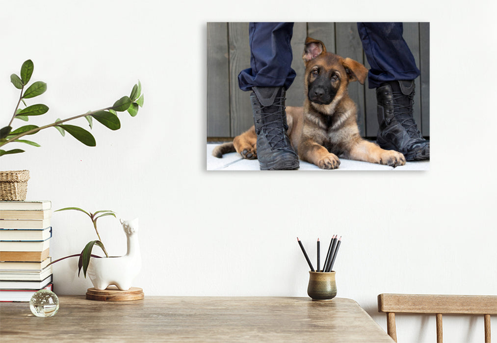 Premium Textil-Leinwand Premium Textil-Leinwand 120 cm x 80 cm quer Sweet Little Police Dog