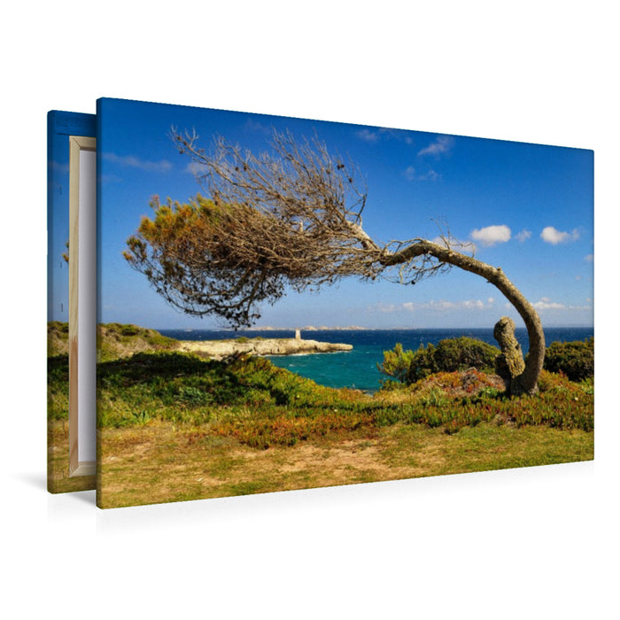 Premium Textil-Leinwand Durchhalten!