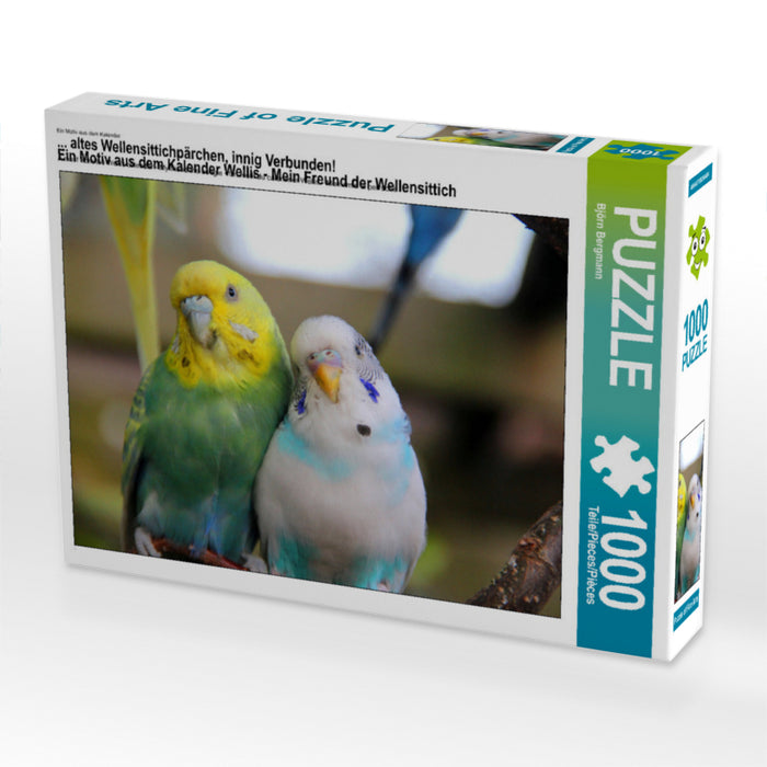 ... altes Wellensittichpärchen, innig Verbunden!
Ein Motiv aus dem Kalender Wellis - Mein Freund der Wellensittich 1000 Teile Puzzle quer - CALVENDO Foto-Puzzle'
