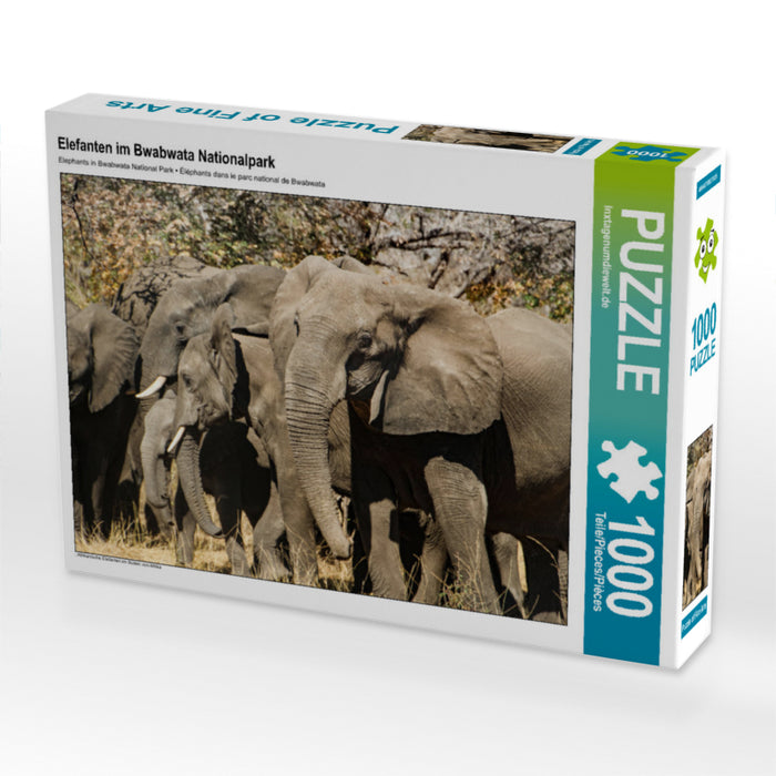 Elefanten im Bwabwata Nationalpark 1000 Teile Puzzle quer - CALVENDO Foto-Puzzle'