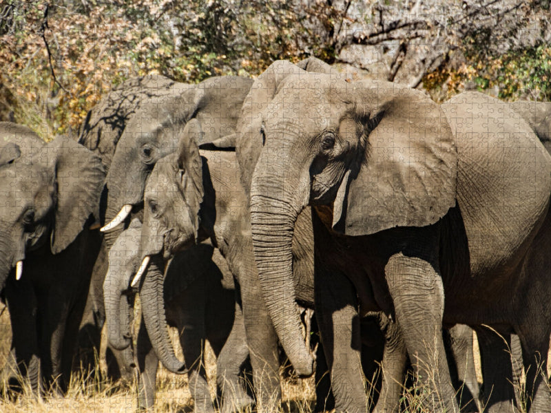 Elefanten im Bwabwata Nationalpark - CALVENDO Foto-Puzzle'