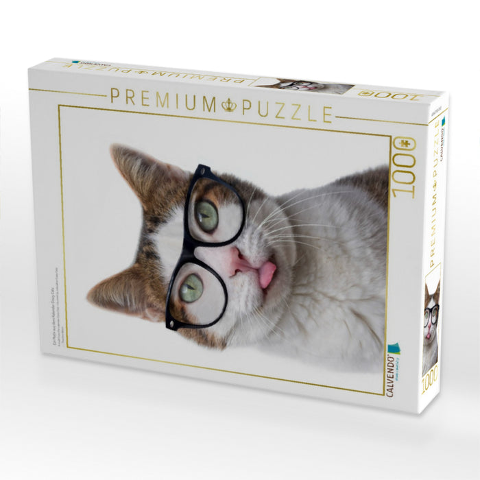Ein Motiv aus dem Kalender Crazy Catz. - CALVENDO Foto-Puzzle'