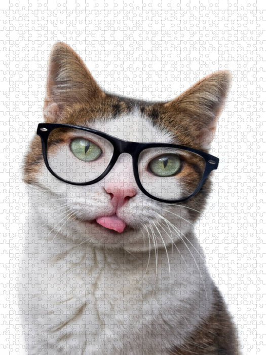 Ein Motiv aus dem Kalender Crazy Catz. - CALVENDO Foto-Puzzle'