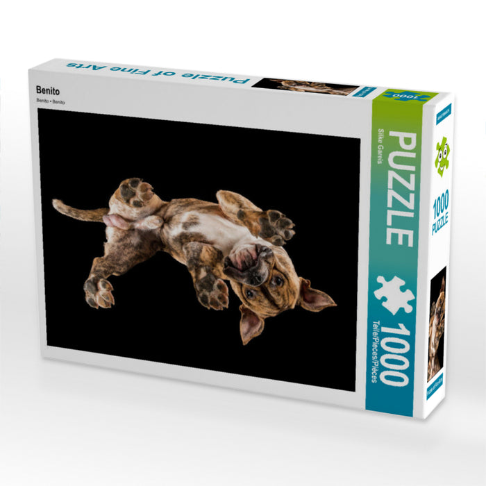 Benito - CALVENDO photo puzzle 