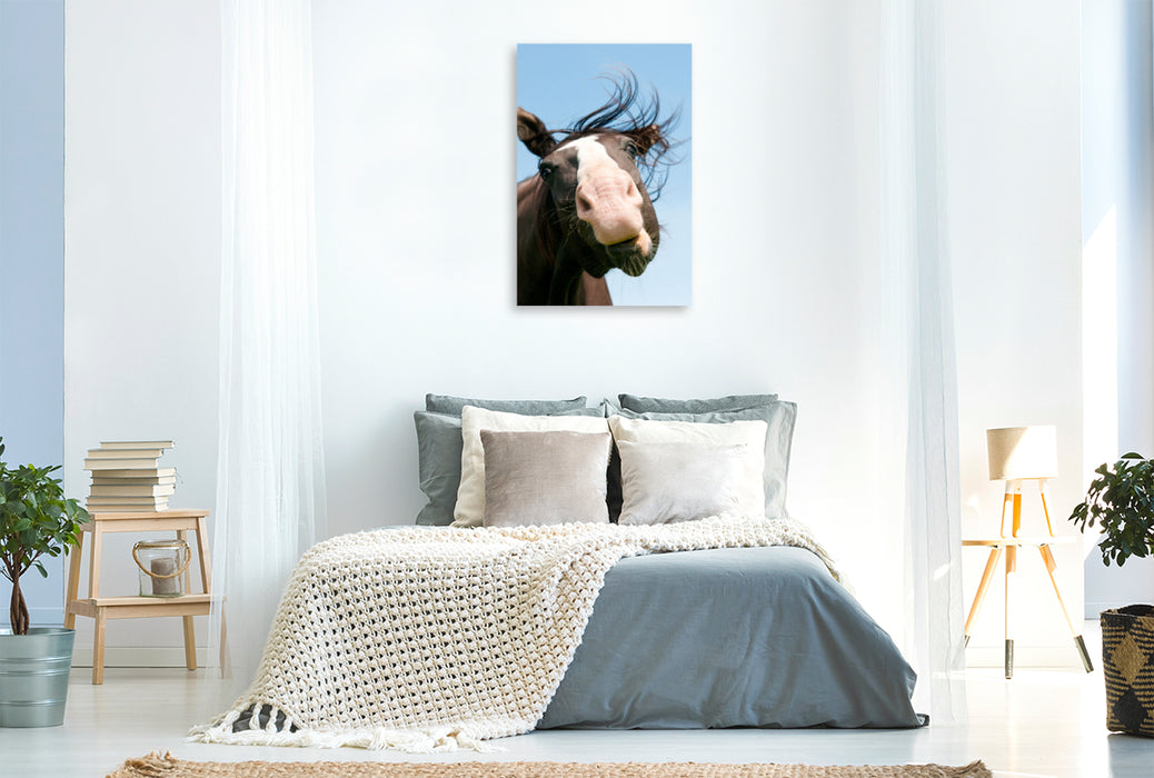 Premium Textil-Leinwand Premium Textil-Leinwand 80 cm x 120 cm  hoch Ein Motiv aus dem Kalender Pferdegesichter - Porträts mit Spaß