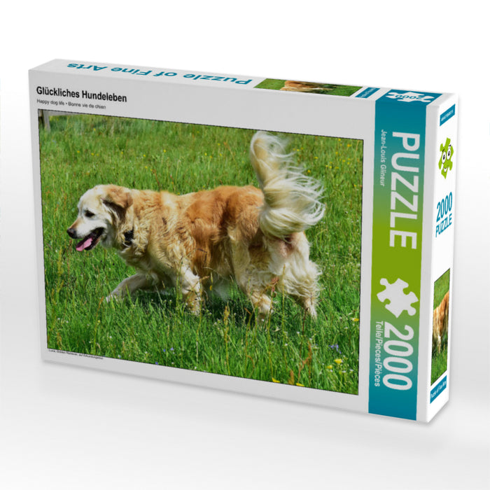 Glückliches Hundeleben 2000 Teile Puzzle quer - CALVENDO Foto-Puzzle'
