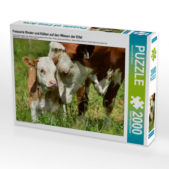 Fotoserie Rinder und Kälber auf den Wiesen der Eifel 2000 Teile Puzzle quer - CALVENDO Foto-Puzzle'