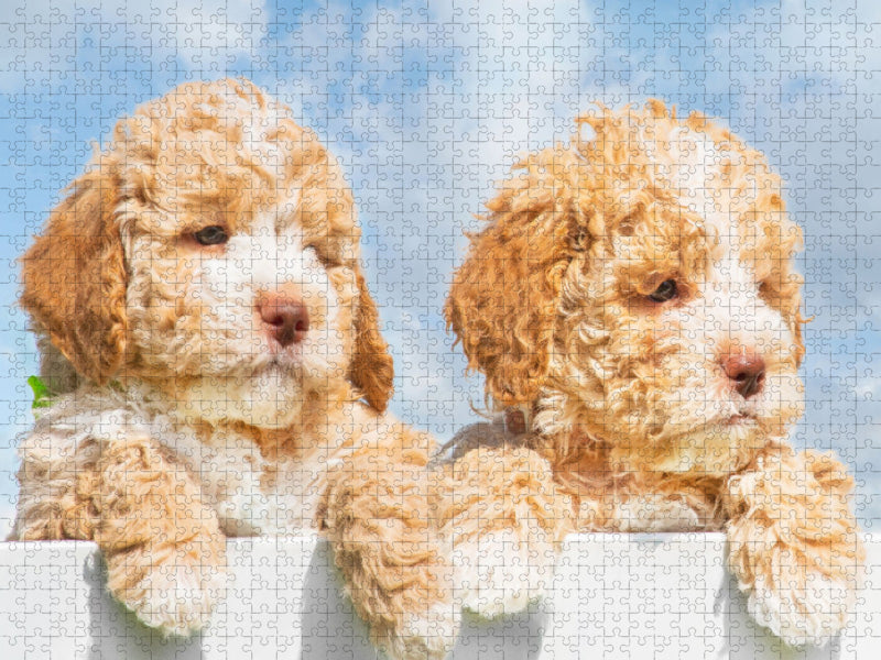 Vorsicht - Kuschelalarm - CALVENDO Foto-Puzzle'