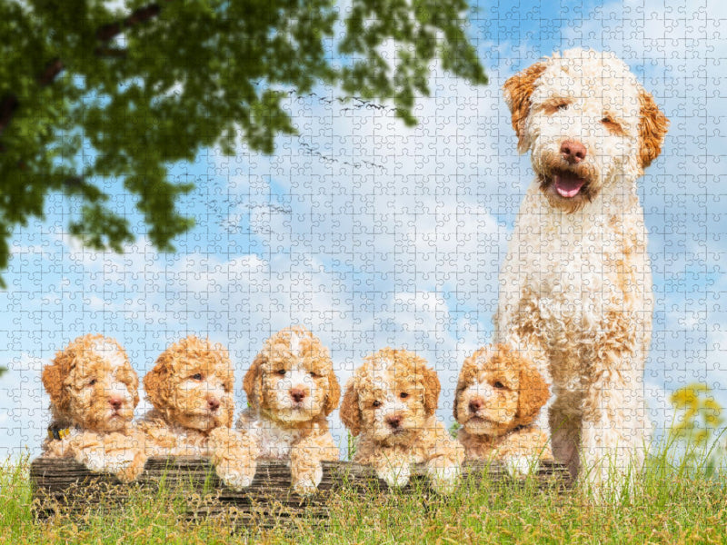5 Wochen alte Welpen mit ihrer Mutter - CALVENDO Foto-Puzzle'