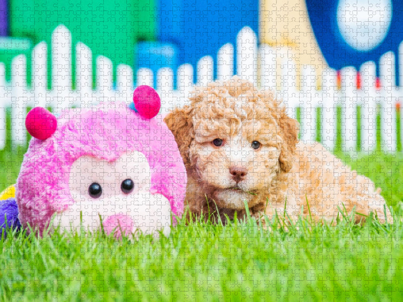 Kuschelstunde - CALVENDO Foto-Puzzle'