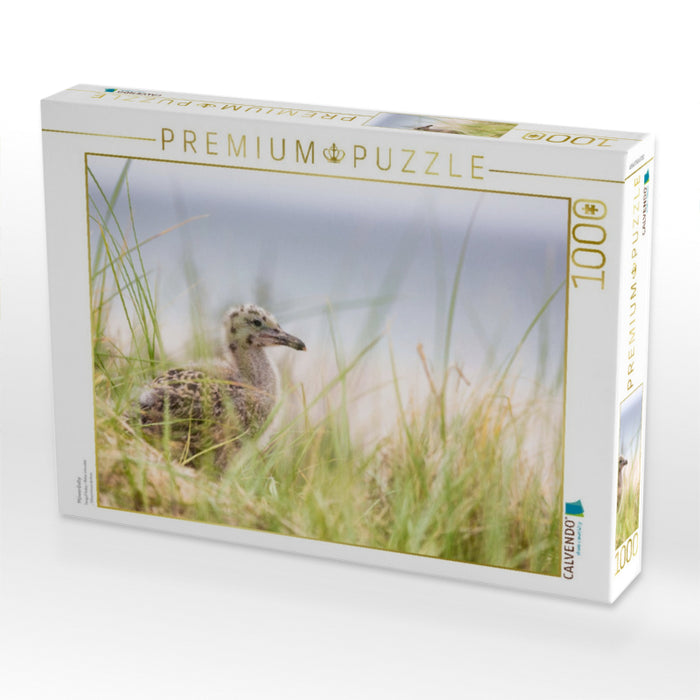 Möwenbaby - CALVENDO Foto-Puzzle'