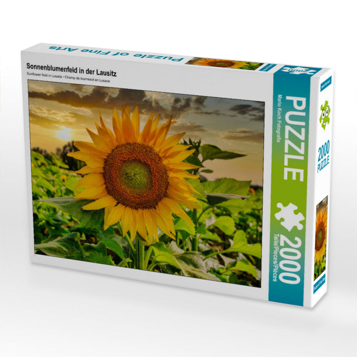 Sonnenblumenfeld in der Lausitz 2000 Teile Puzzle quer - CALVENDO Foto-Puzzle'