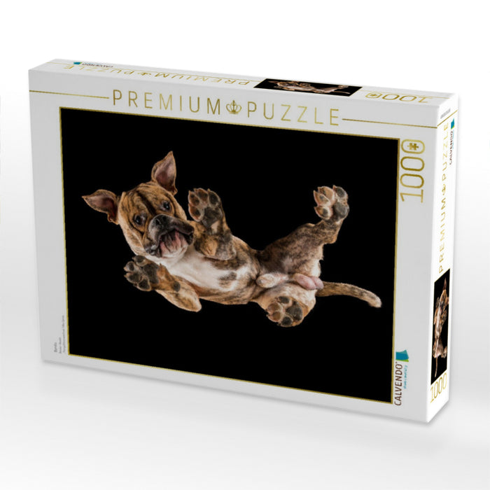 Benito - CALVENDO Foto-Puzzle'